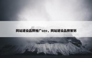 网站建设品牌推广seo，网站建设品牌策划