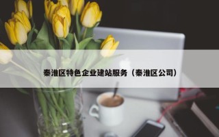 秦淮区特色企业建站服务（秦淮区公司）
