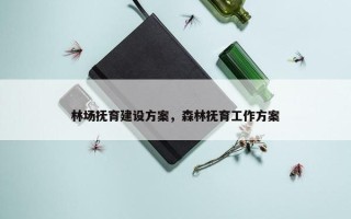林场抚育建设方案，森林抚育工作方案