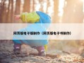 网页版电子版制作（网页版电子书制作）