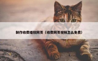 制作收费播放网页（收费网页视频怎么免费）