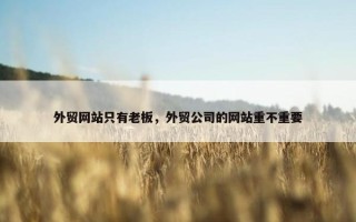 外贸网站只有老板，外贸公司的网站重不重要
