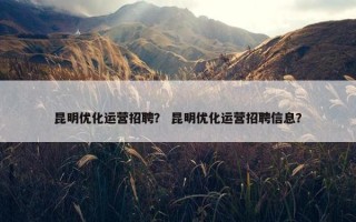 昆明优化运营招聘？ 昆明优化运营招聘信息？
