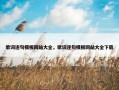 歌词逐句模板网站大全，歌词逐句模板网站大全下载