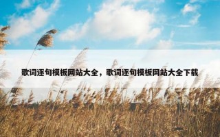 歌词逐句模板网站大全，歌词逐句模板网站大全下载