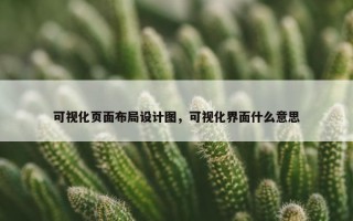 可视化页面布局设计图，可视化界面什么意思