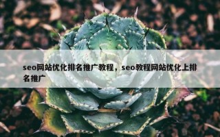 seo网站优化排名推广教程，seo教程网站优化上排名推广