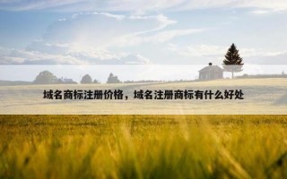 域名商标注册价格，域名注册商标有什么好处