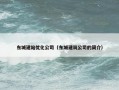 东城建站优化公司（东城建筑公司的简介）