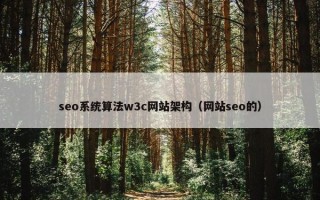 seo系统算法w3c网站架构（网站seo的）