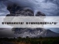 格子铺网站建设方案？ 格子铺如何选择经营什么产品？
