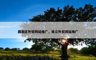 鹿泉区外贸网站推广，独立外贸网站推广