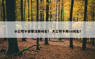 小公司不需要注册域名？ 大公司不用cn域名？