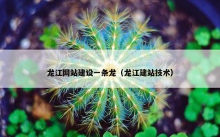 龙江网站建设一条龙（龙江建站技术）