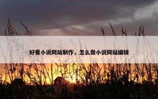 好看小说网站制作，怎么做小说网站编辑