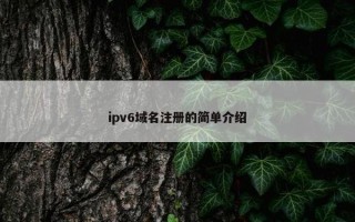 ipv6域名注册的简单介绍