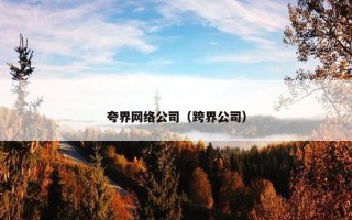 夸界网络公司（跨界公司）