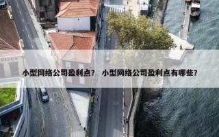 小型网络公司盈利点？ 小型网络公司盈利点有哪些？