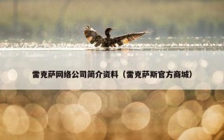 雷克萨网络公司简介资料（雷克萨斯官方商城）