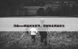 河南seo网站优化软件，河南知名网站优化