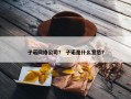 子诺网络公司？ 子诺是什么意思？