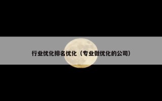 行业优化排名优化（专业做优化的公司）