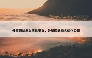 外贸网站怎么优化英文，外贸网站排名优化公司