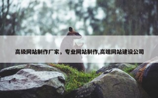 高级网站制作厂家，专业网站制作,高端网站建设公司