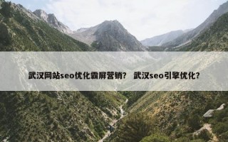 武汉网站seo优化霸屏营销？ 武汉seo引擎优化？