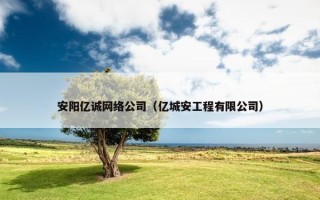 安阳亿诚网络公司（亿城安工程有限公司）