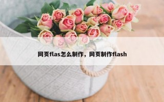 网页flas怎么制作，网页制作flash