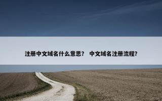 注册中文域名什么意思？ 中文域名注册流程？
