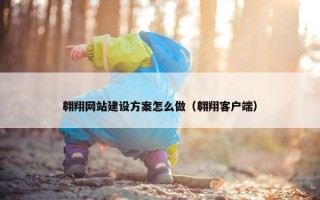 翱翔网站建设方案怎么做（翱翔客户端）