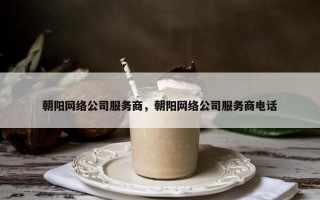 朝阳网络公司服务商，朝阳网络公司服务商电话