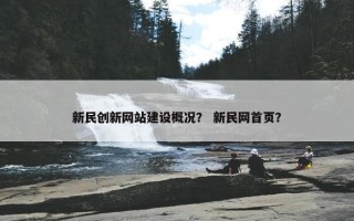 新民创新网站建设概况？ 新民网首页？