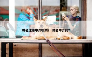 域名注册中介机构？ 域名中介网？