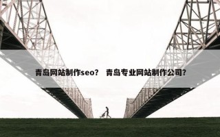 青岛网站制作seo？ 青岛专业网站制作公司？