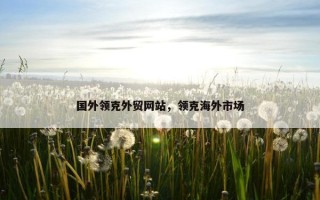 国外领克外贸网站，领克海外市场