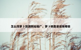 怎么找萝卜货源网站推广，萝卜销售渠道有哪些