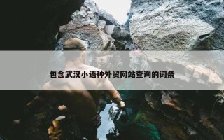 包含武汉小语种外贸网站查询的词条