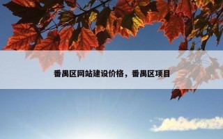 番禺区网站建设价格，番禺区项目