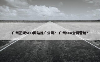 广州正规SEO网站推广公司？ 广州seo全网营销？