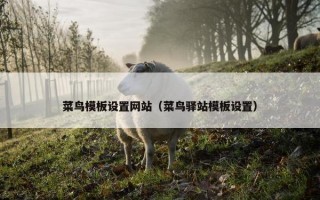 菜鸟模板设置网站（菜鸟驿站模板设置）