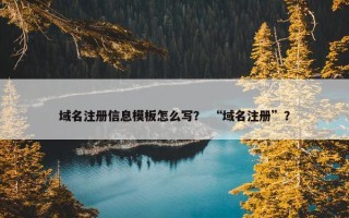 域名注册信息模板怎么写？ “域名注册”？