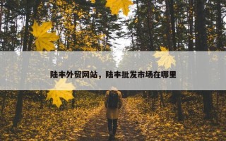 陆丰外贸网站，陆丰批发市场在哪里
