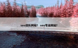 seo团队网站？ seo专业网站？