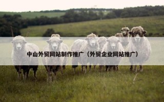 中山外贸网站制作推广（外贸企业网站推广）