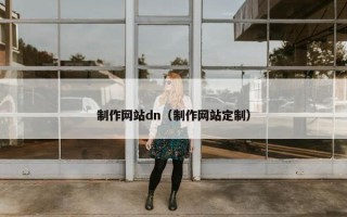 制作网站dn（制作网站定制）