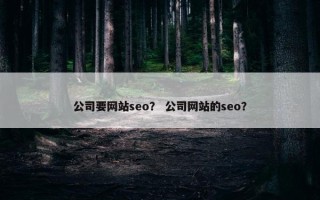 公司要网站seo？ 公司网站的seo？
