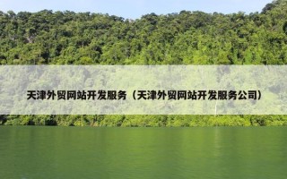 天津外贸网站开发服务（天津外贸网站开发服务公司）
